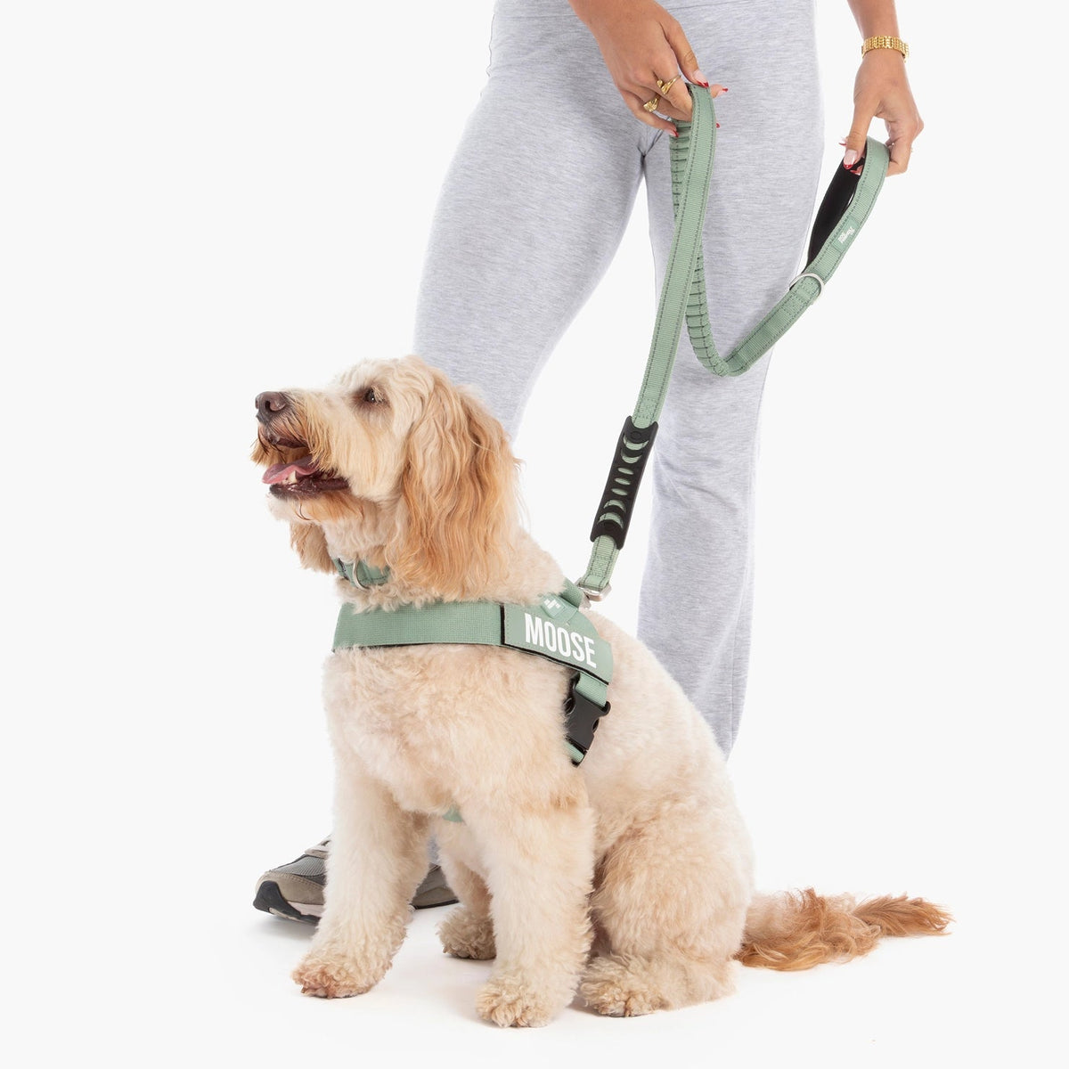 Bungee Dog Leash product image 4