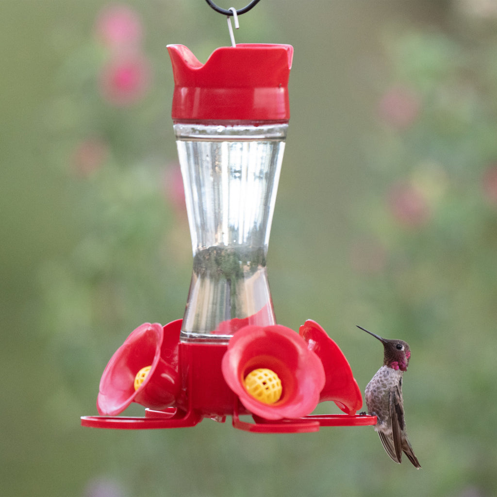 Hummingbird Feeder product image 4