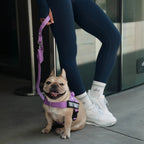 Dog Leash product image 4