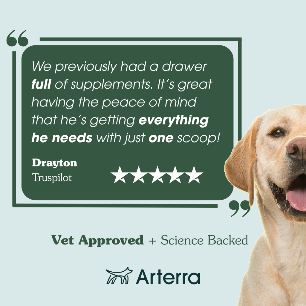 Adult Dog Multivitamin product image 4