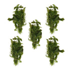 Aquatic Plants product image 4