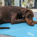 Dog Cooling Mat product image 4