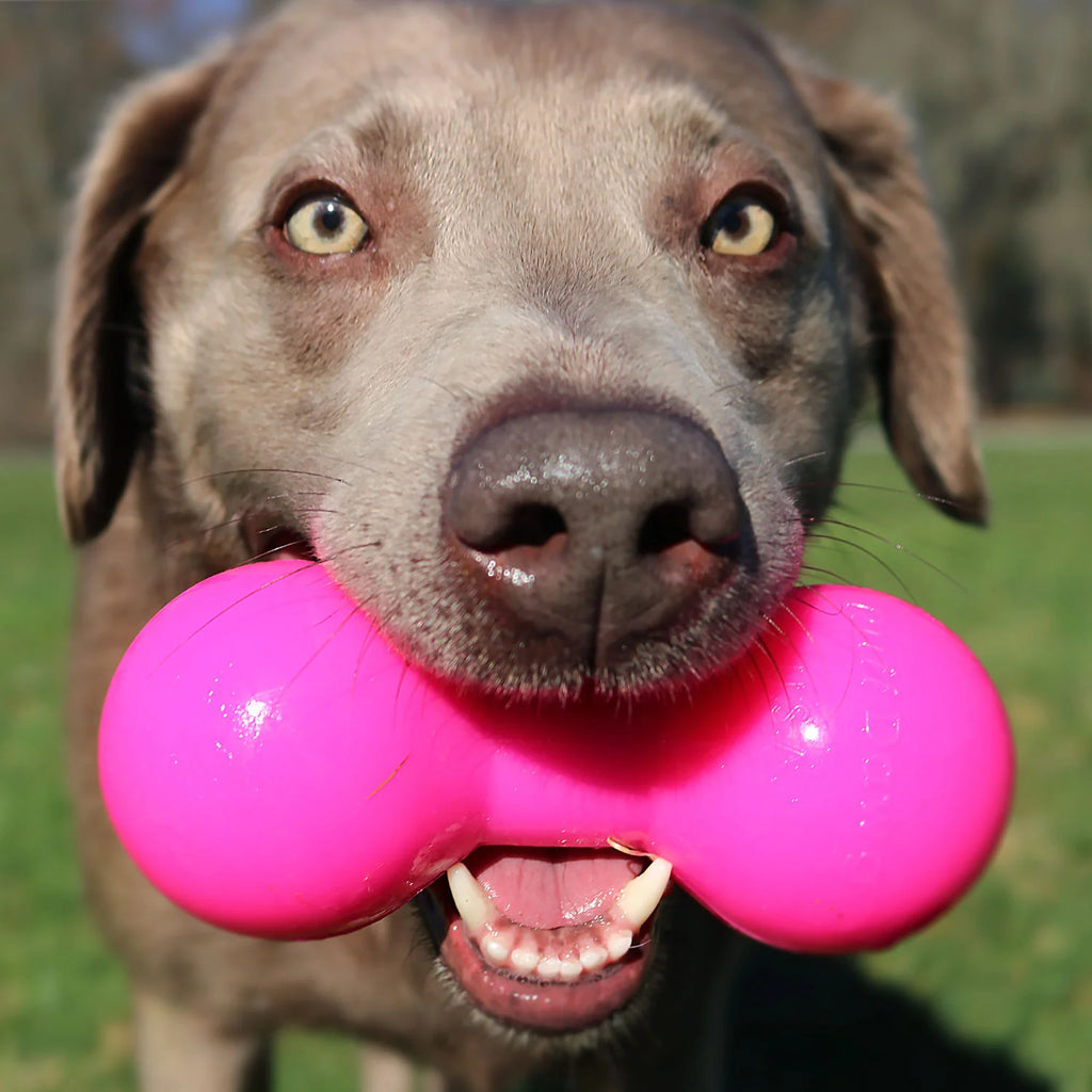 Rubber Dog Chew Toy product image 4
