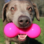 Rubber Dog Chew Toy product image 4