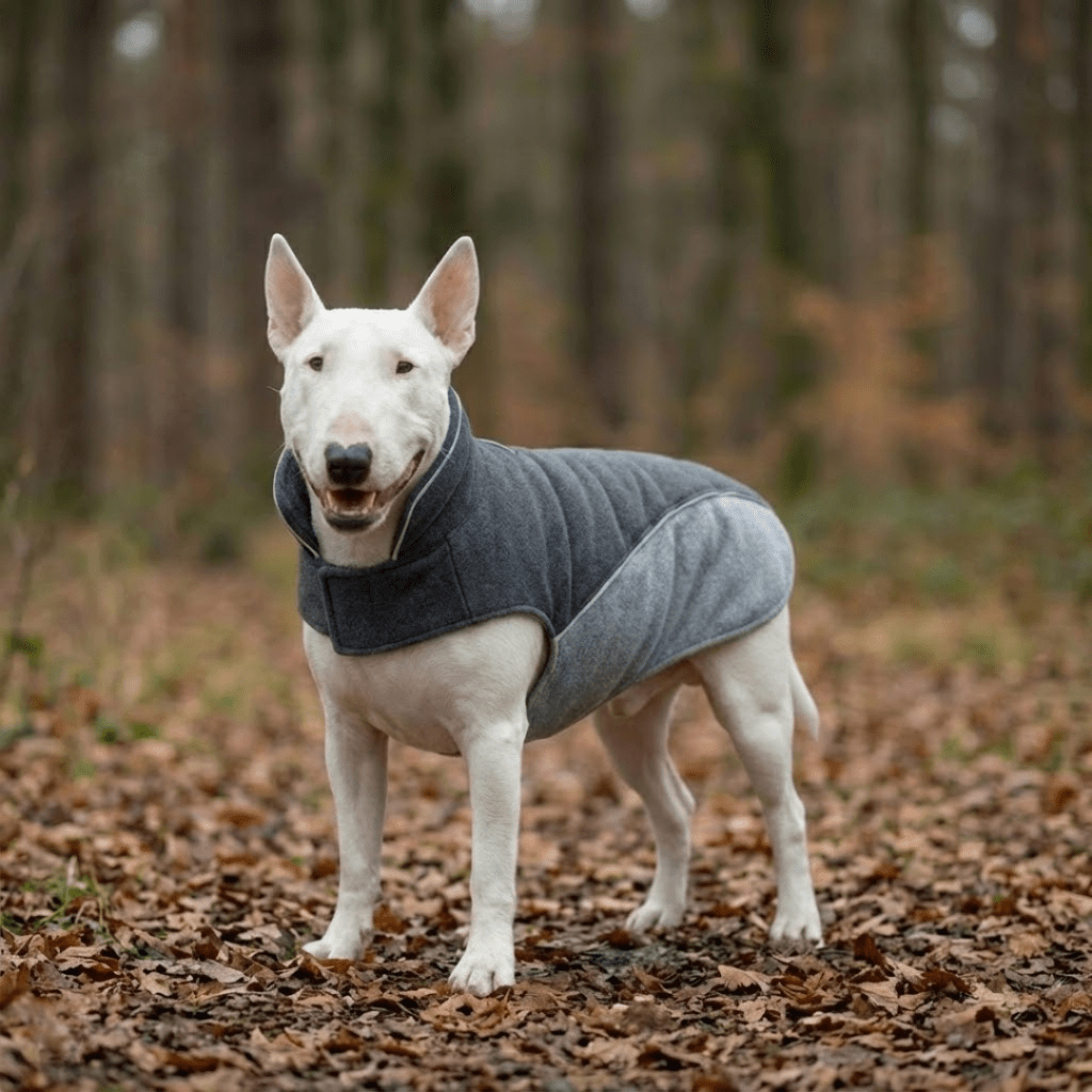 Dog Safety Vest product image 4