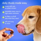 Dog Calming Chews product image 4