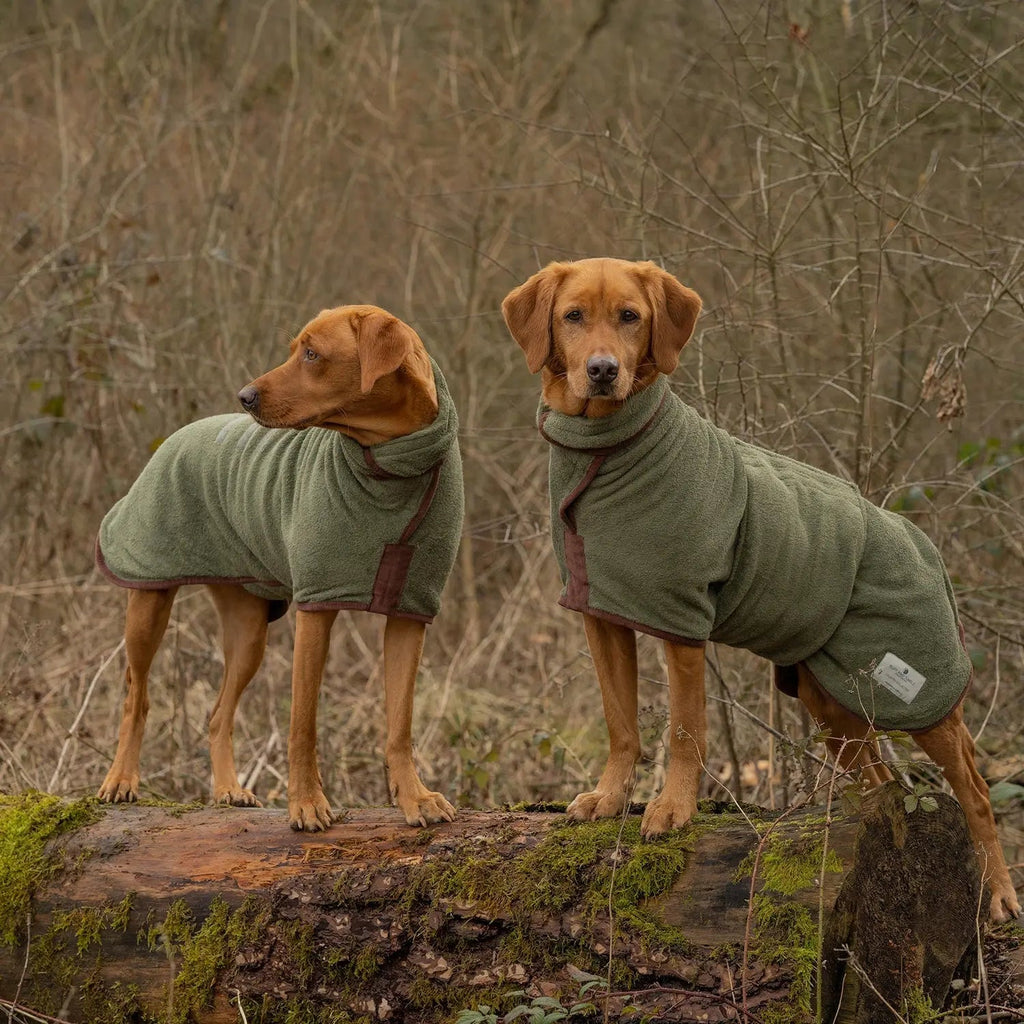 Dog Drying Coat product image 4