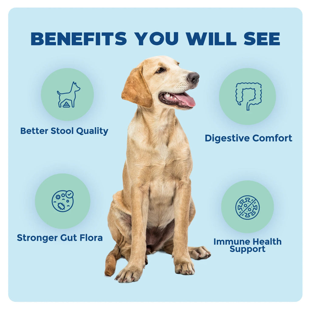Dog and Cat Probiotic product image 4