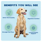Dog and Cat Probiotic product image 4