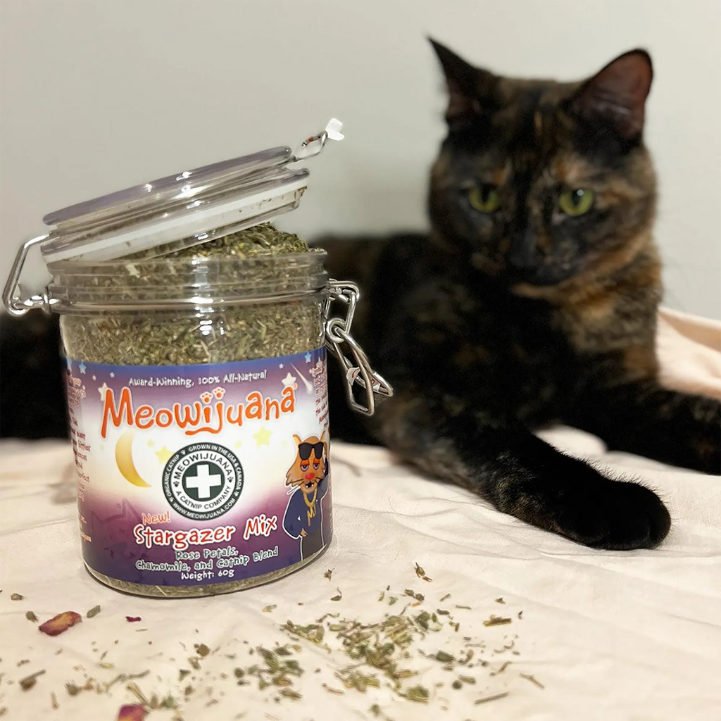 Catnip Blend product image 4