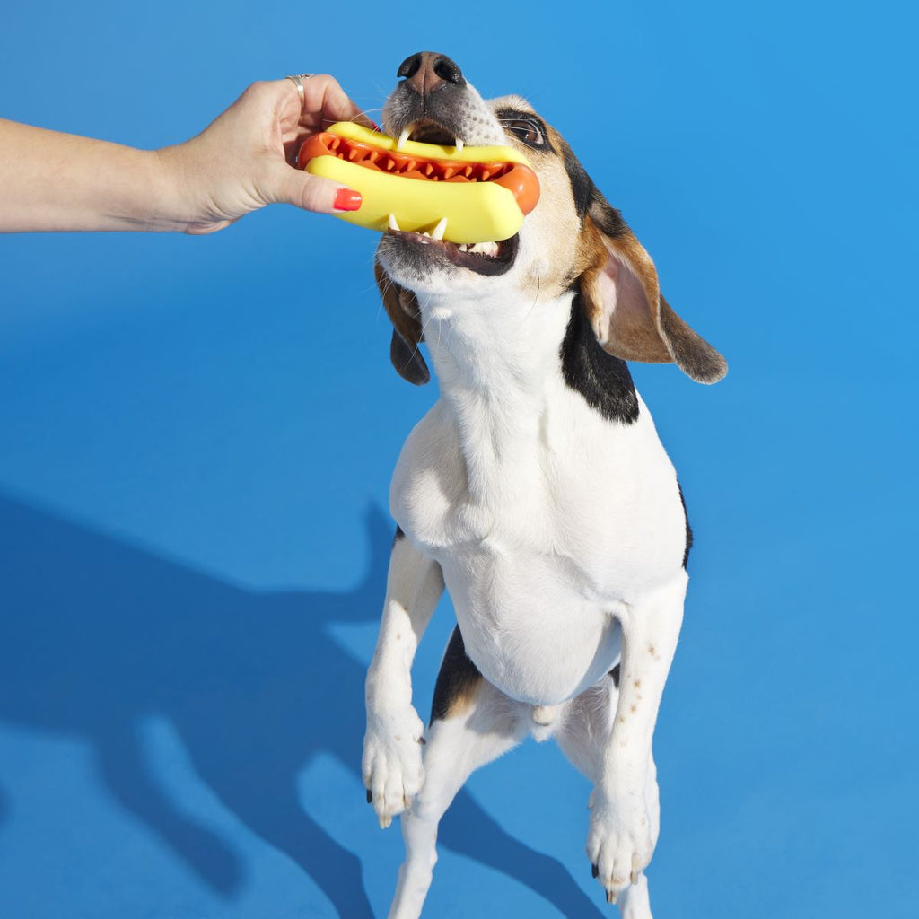 Rubber Treat-Holding Dog Toy product image 4