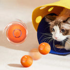 Hydration Playtime Bundle product image 4