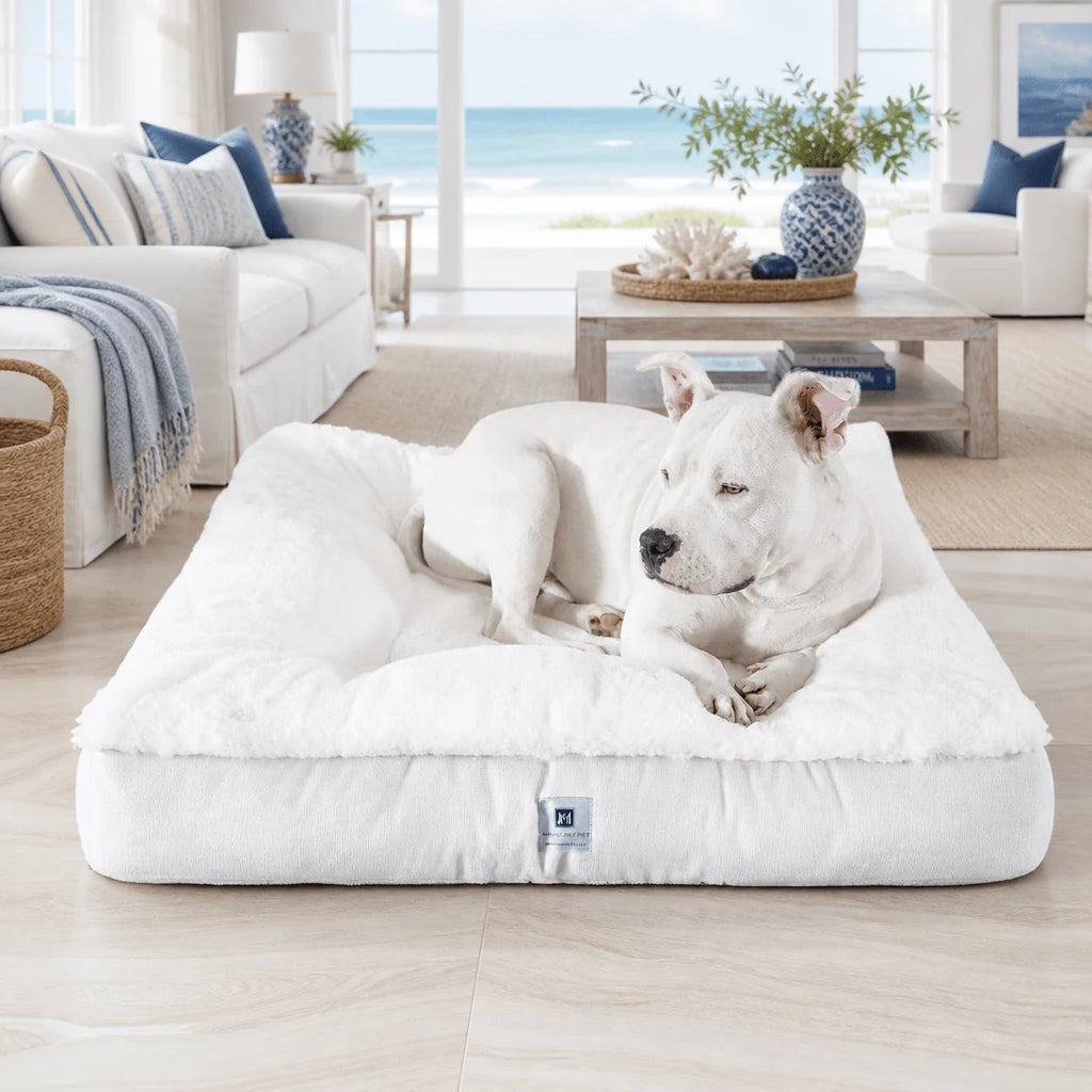 Dog Beds product image 4