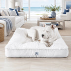 Dog Beds product image 4