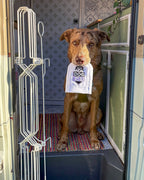 Retractable Dog Gate product image 4