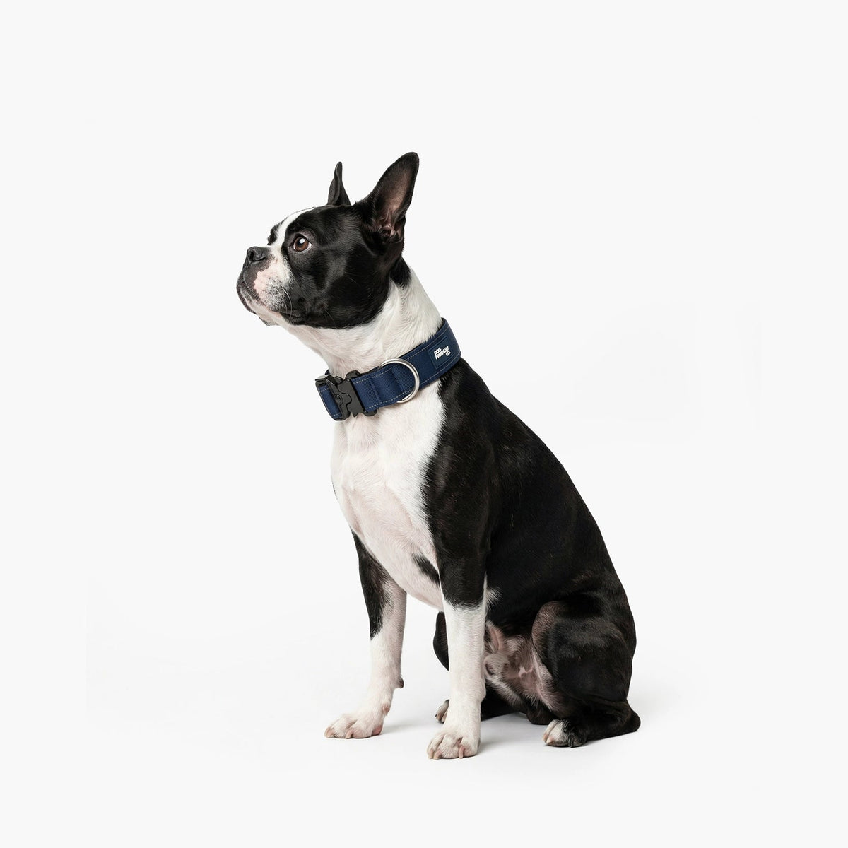 Tactical Dog Collar product image 4