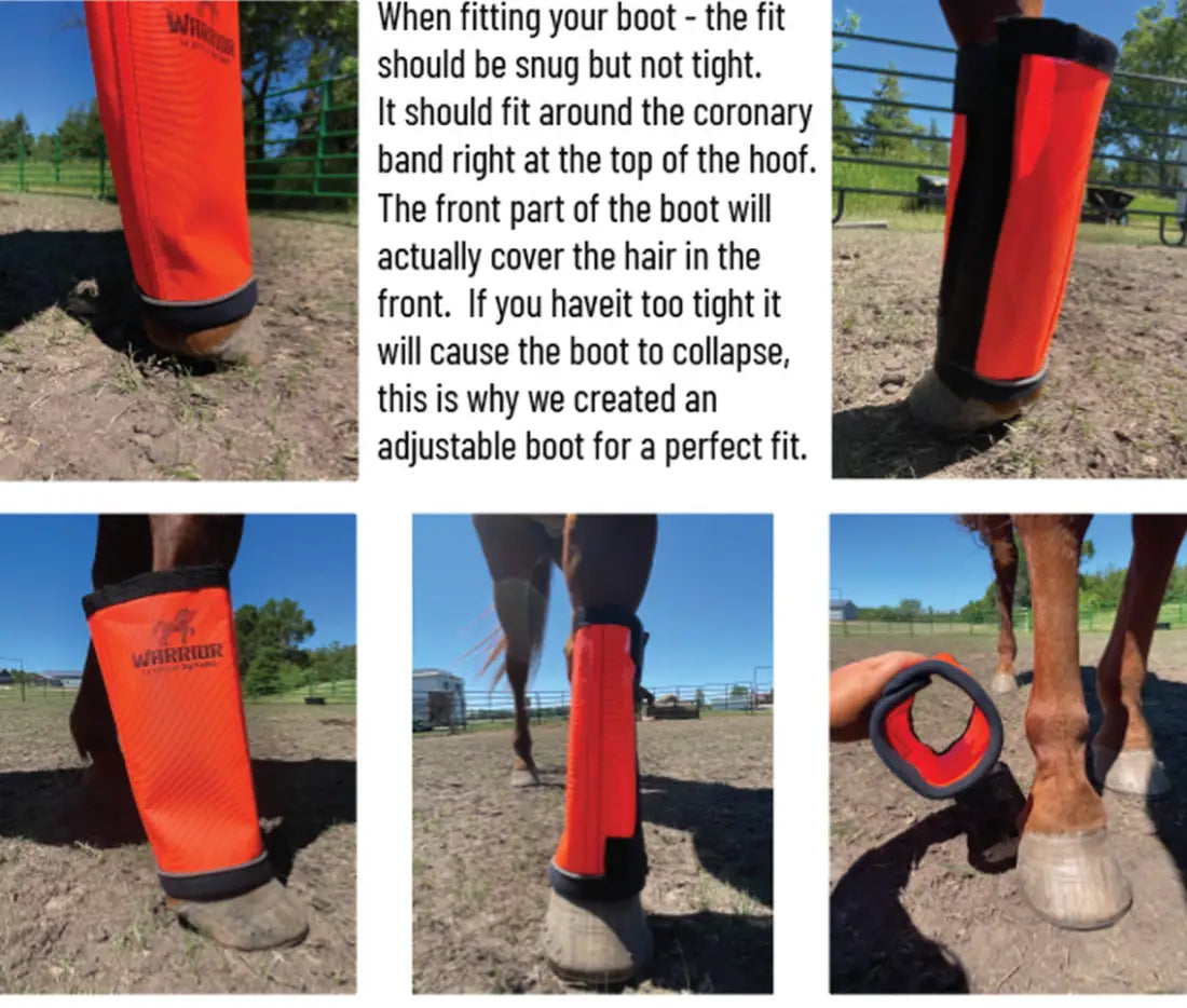 Horse Fly Boots product image 4