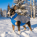 Reflective Dog Vest product image 4