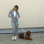 Bungee Dog Leash product image 4