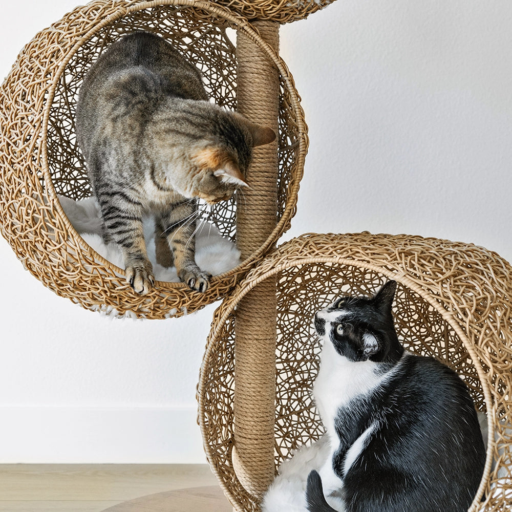 Three-Cave Rattan Cat Tree product image 4