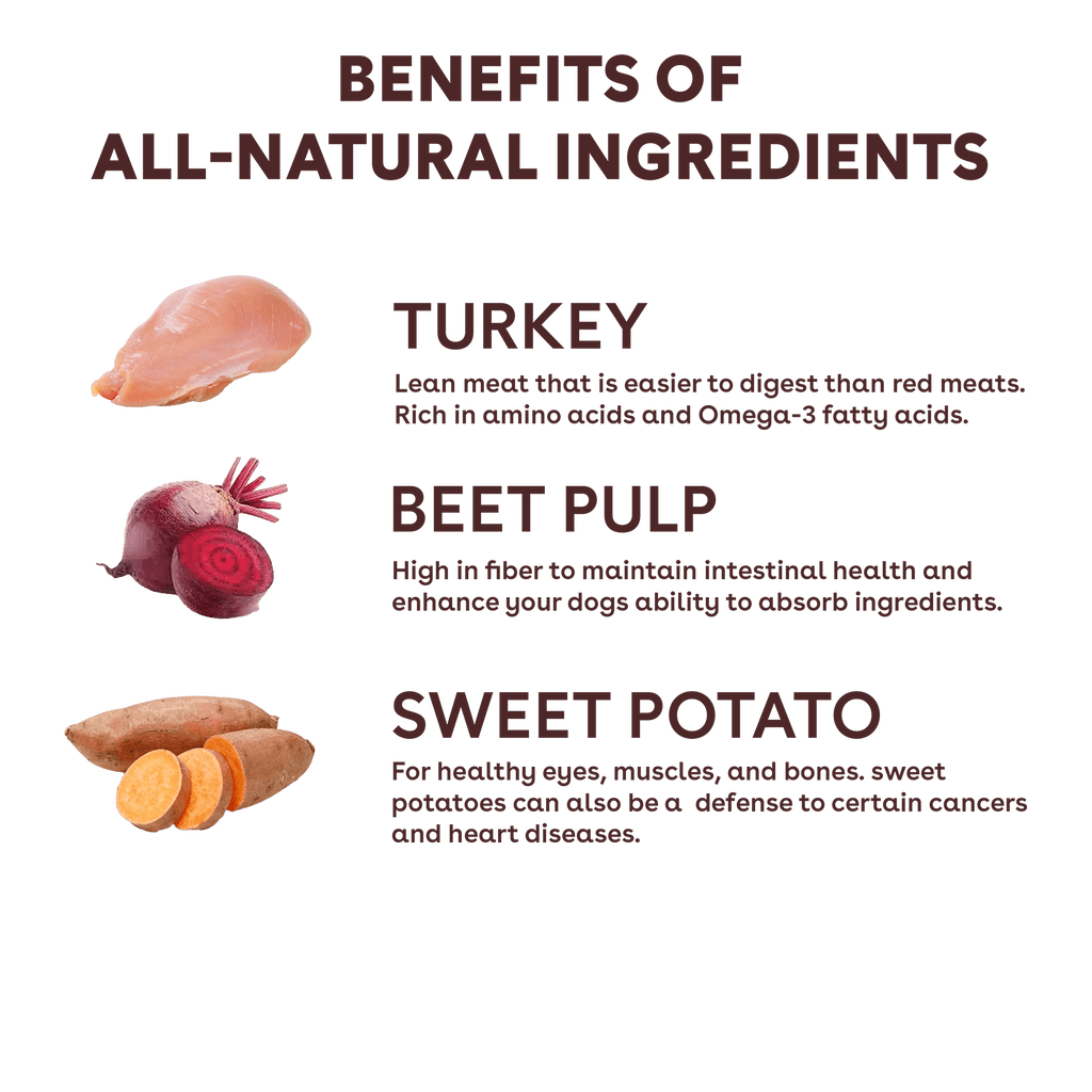 Freeze-Dried Turkey and Vegetable Dog Training Treats product image 4