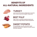 Freeze-Dried Turkey and Vegetable Dog Training Treats product image 4