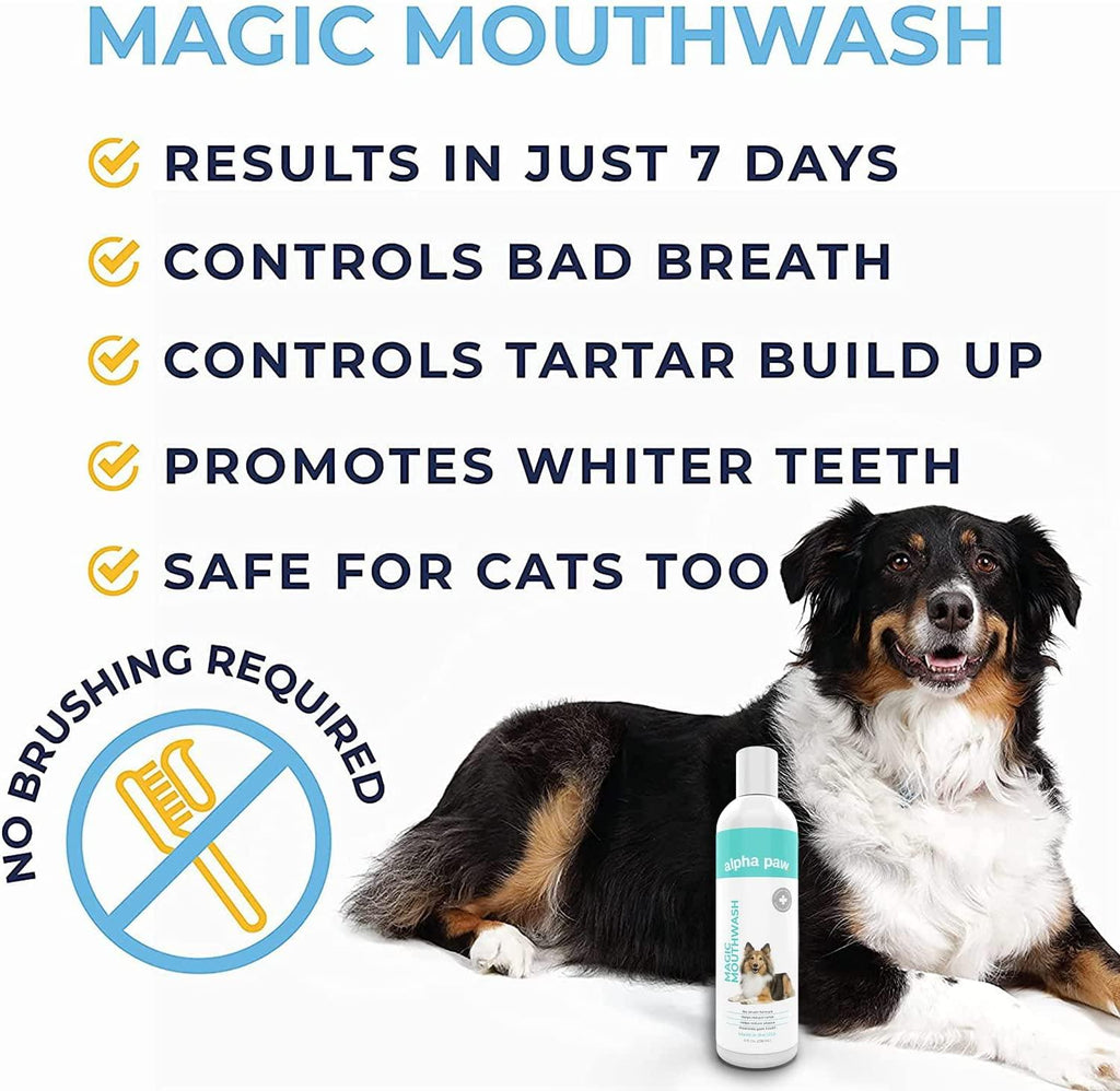 Dog Dental Water Additive product image 4