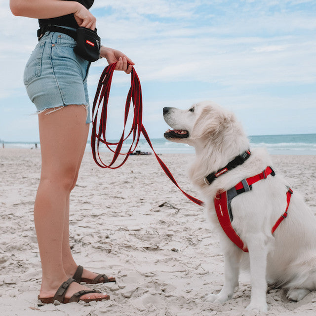 Dog Training Leash product image 4
