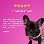 Large Beef Femur Bone Dog Chew product image 4