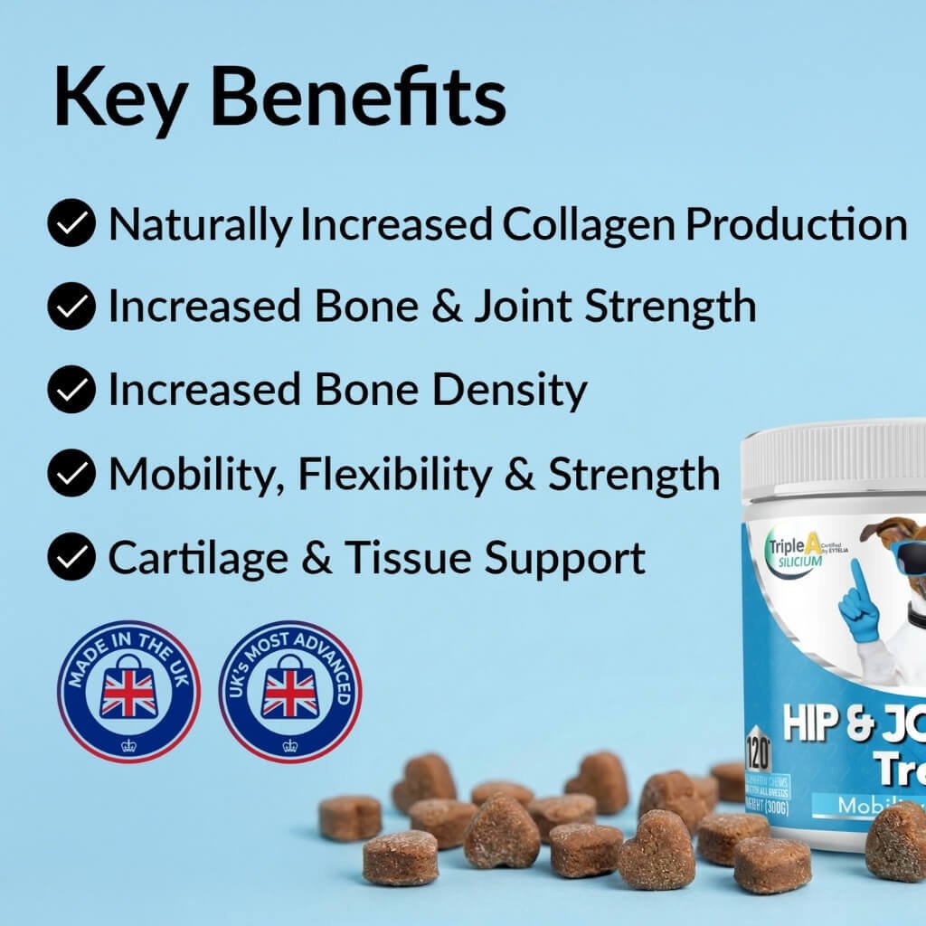 Dog Hip and Joint Support Treats product image 4