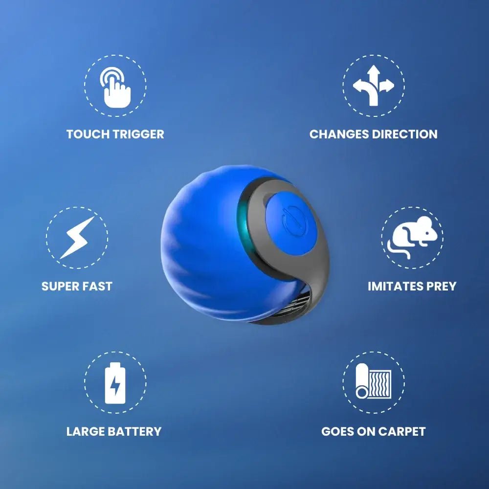 Interactive Cat Toy product image 4