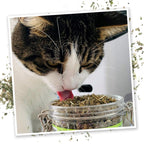 Catnip Mix product image 4