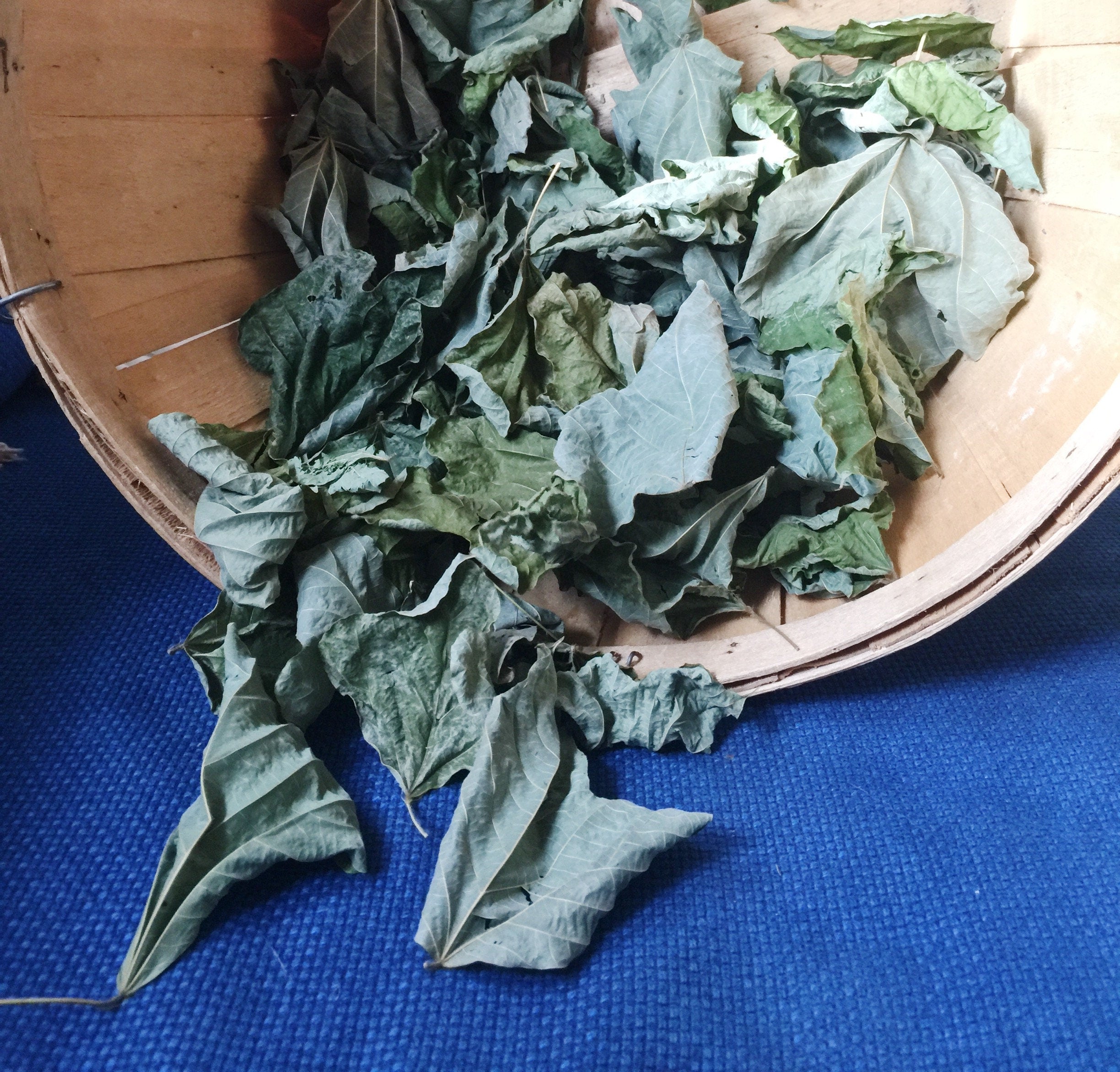 Kudzu Chip Small Animal Treats product image 4