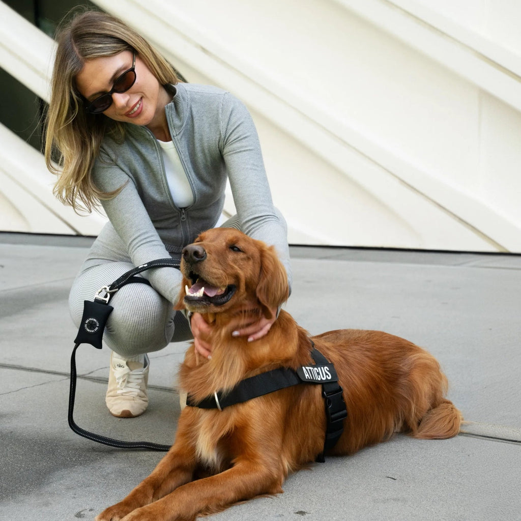 Bungee Dog Leash product image 4