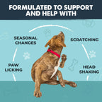 Dog Allergy & Immune Support Chew product image 4