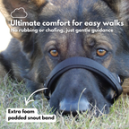 Dog Head Halter product image 4