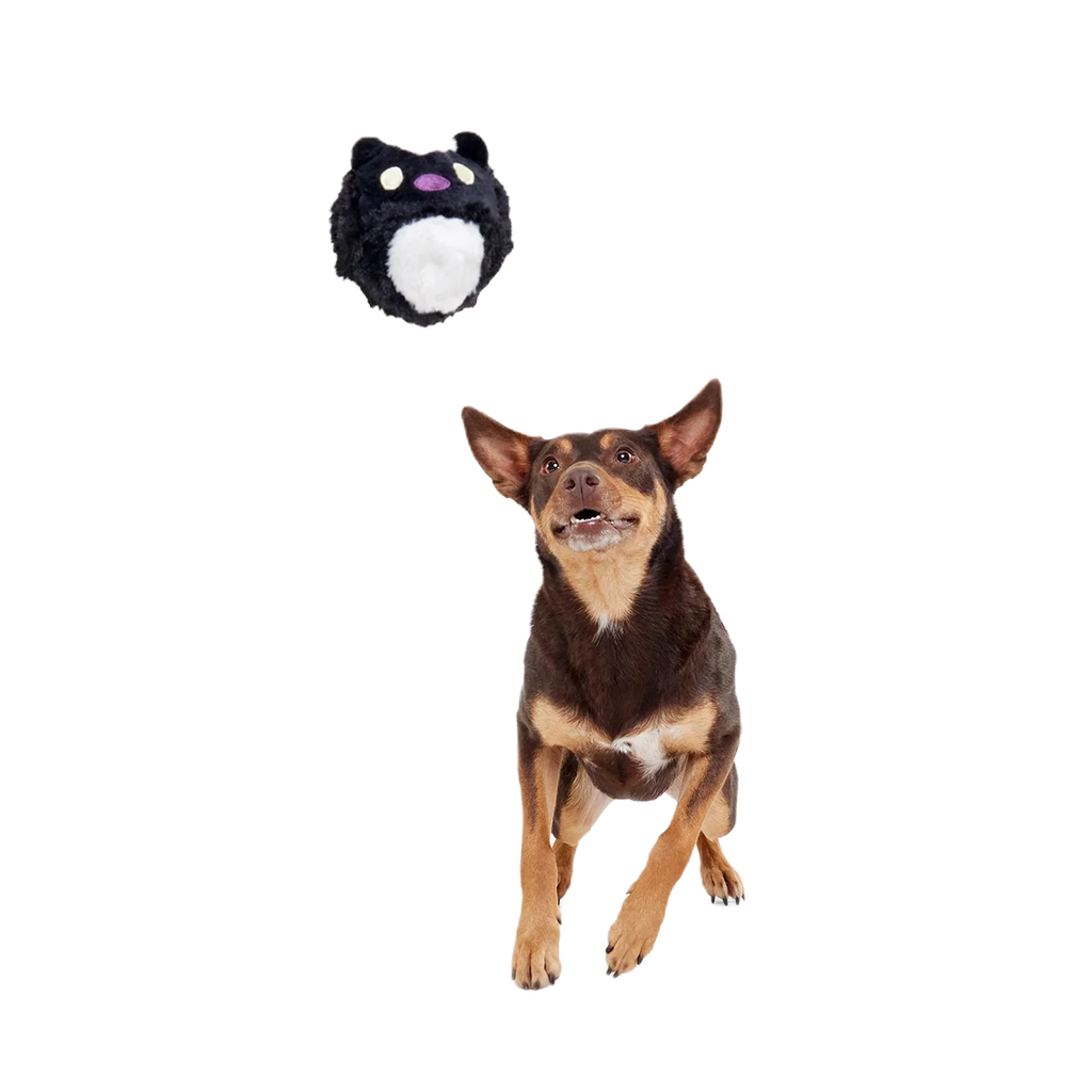 Dog Fetch Toy product image 4