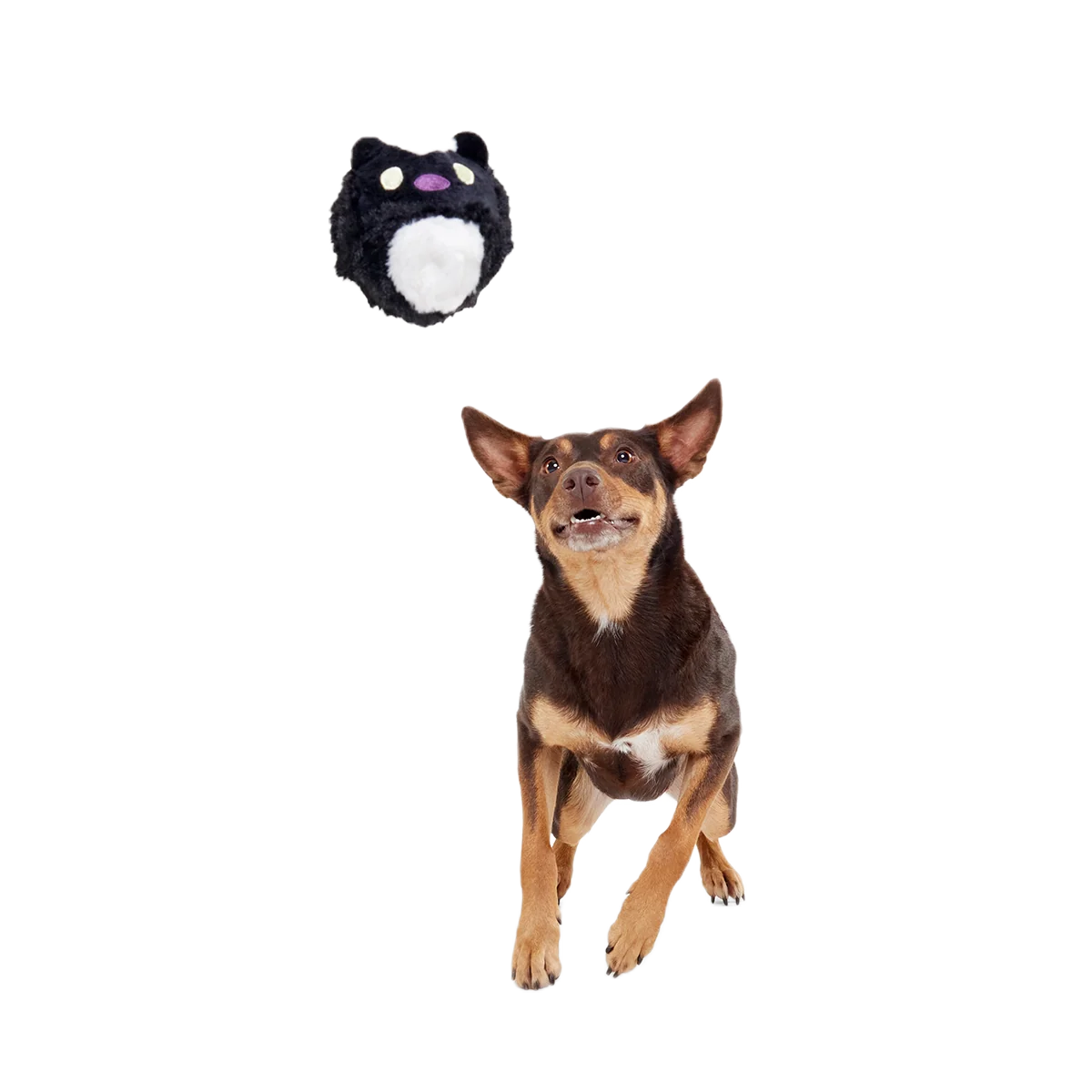 Dog Fetch Toy product image 4
