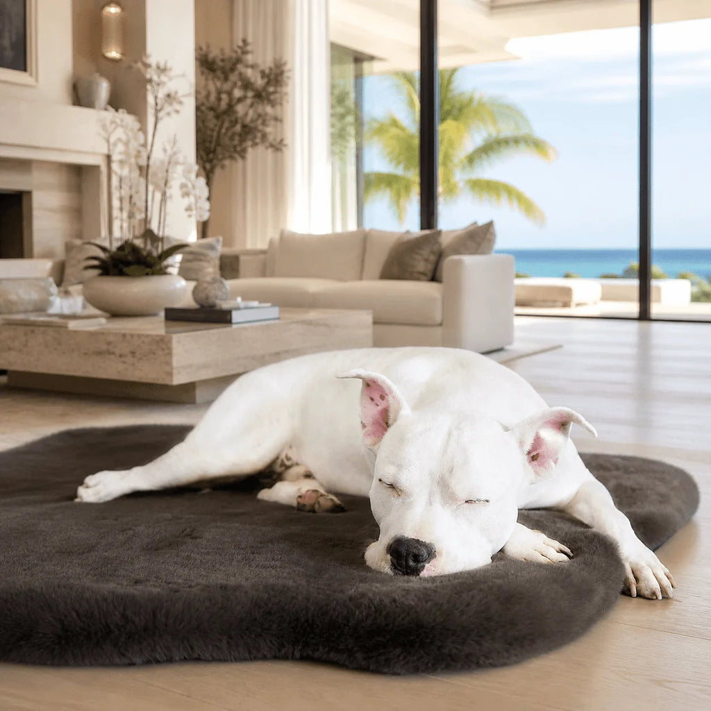 Dog Beds product image 4