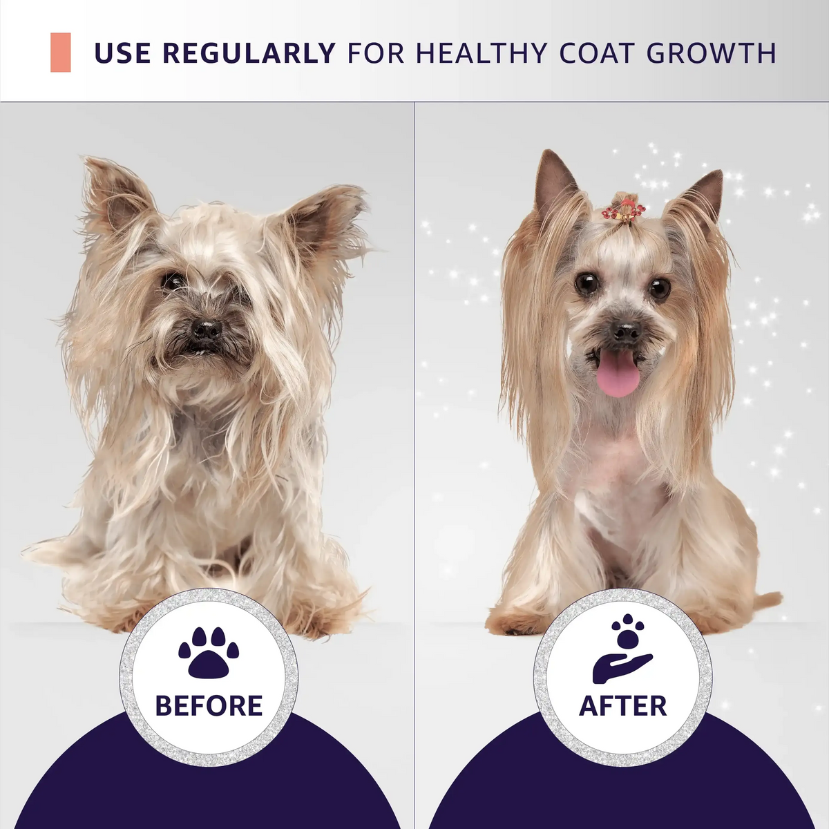 Pet Coat Conditioner product image 4