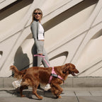 Bungee Dog Leash product image 4