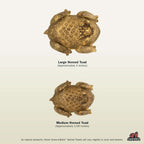 Dog Dental Chews product image 3