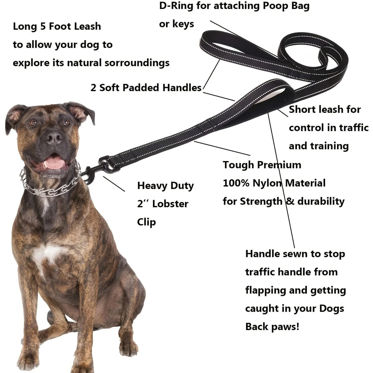 Double Handle Dog Leash product image 4