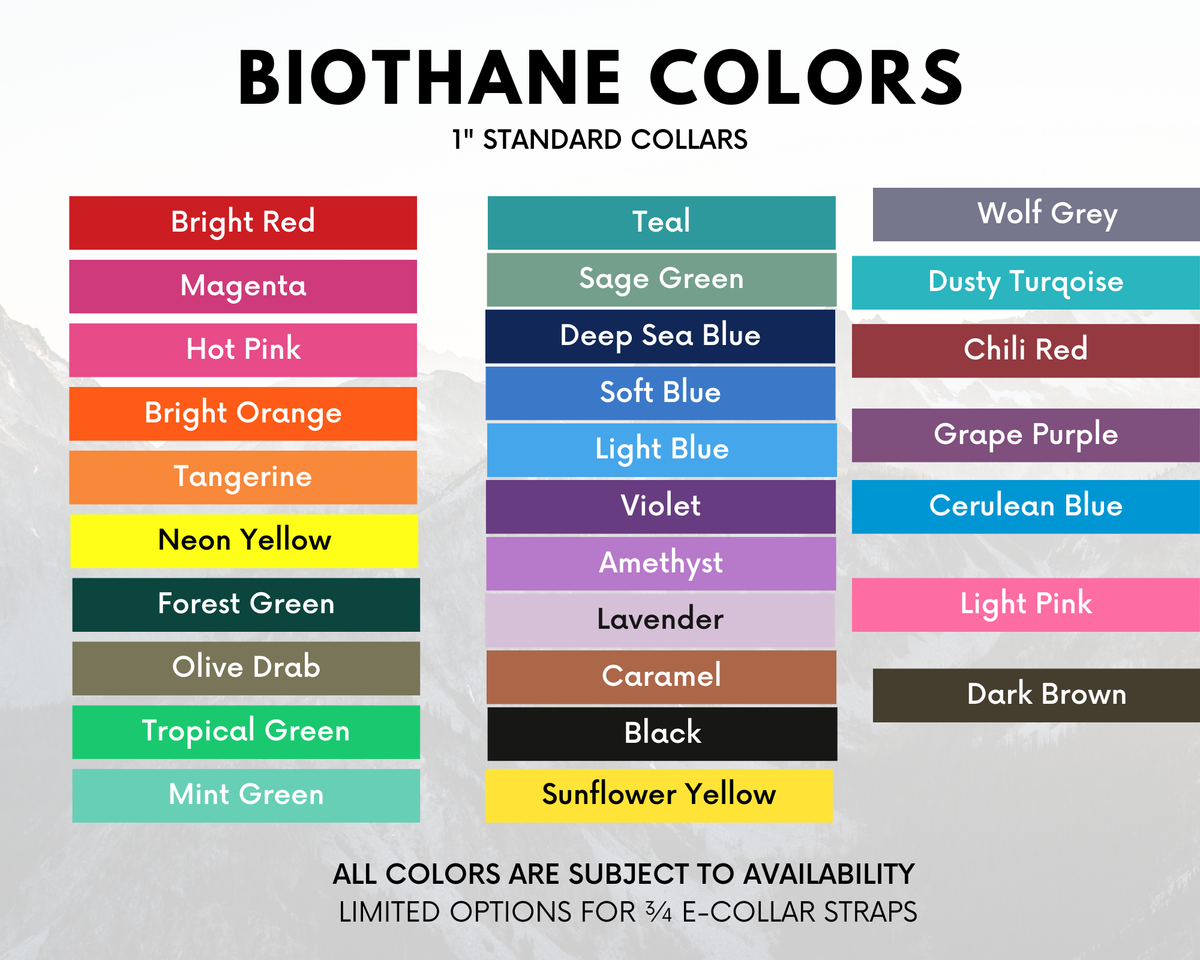 Martingale Dog Collar product image 4
