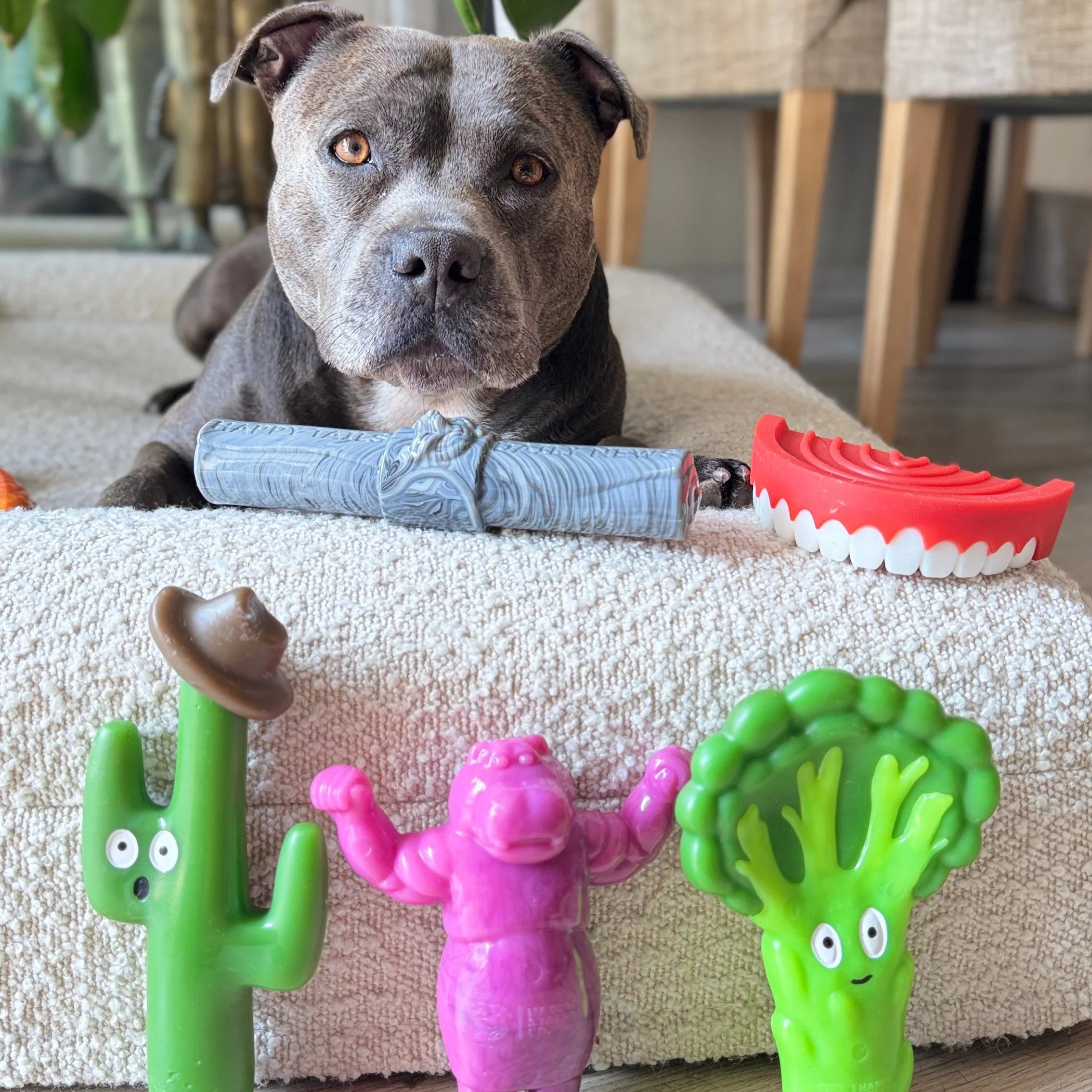 Dog Chew Toy product image 4