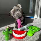 Dog Chew Toy product image 4