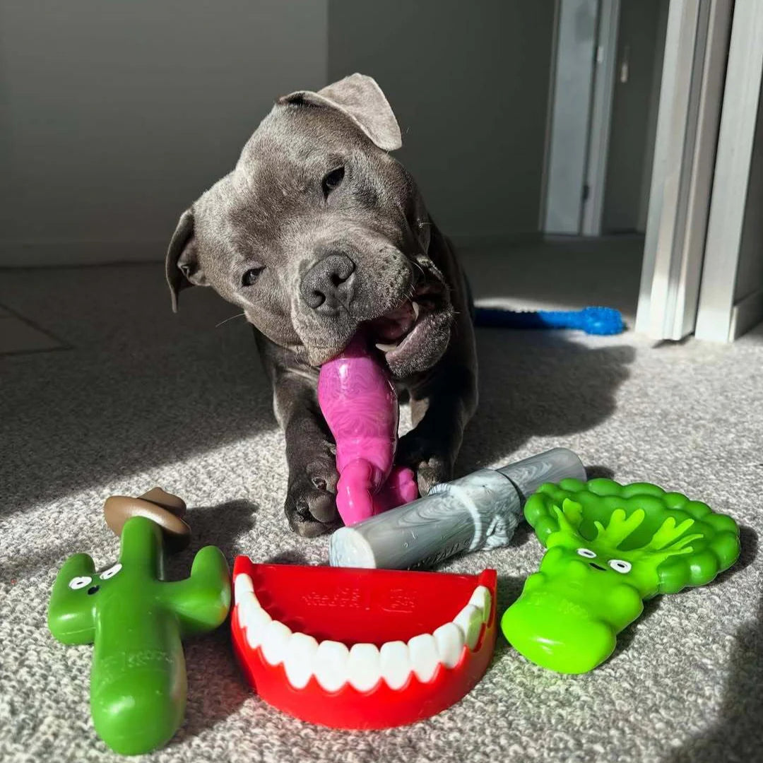 Dog Chew Toy product image 4