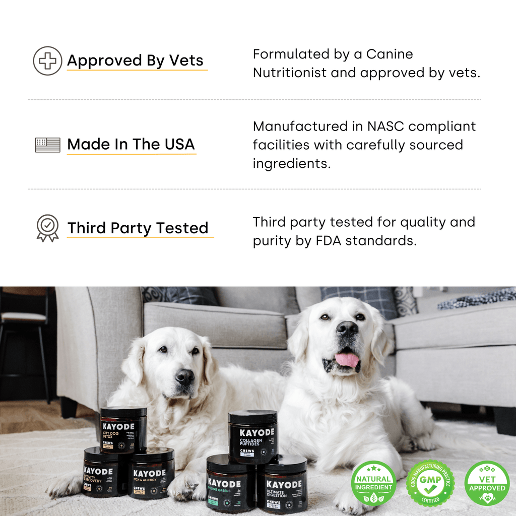 Dog Itch and Allergy Support Chews for Skin and Immune Response, Offered in One- to Six-Pack Quantities source image 5