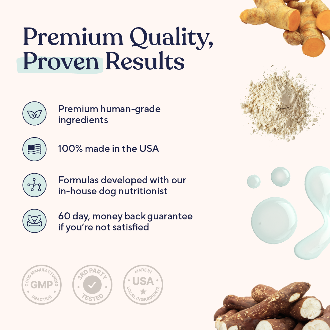 Daily Probiotic and Multivitamin Chews for Dogs, Easy Chew Format for Everyday Wellness Support product image 5