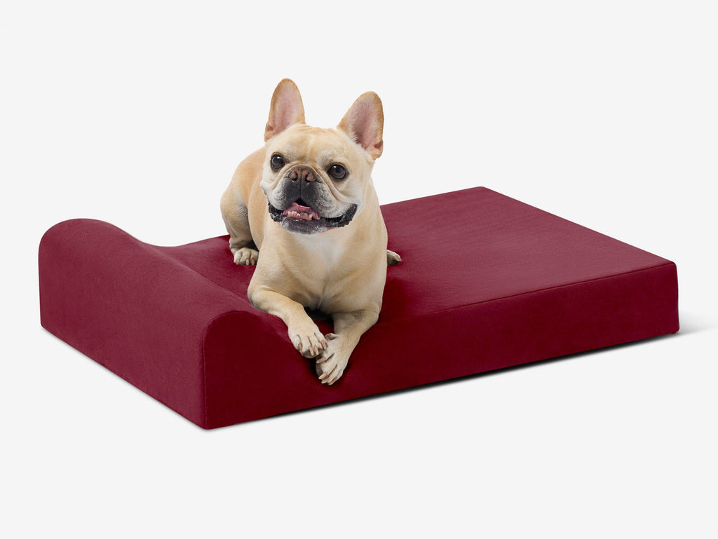 Orthopedic Dog Bed for Small and Medium Dogs, 4-Inch Layered Foam in Headrest and Sofa Styles source image 5